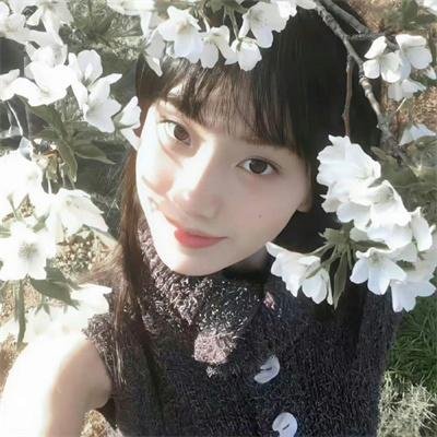 毒虫