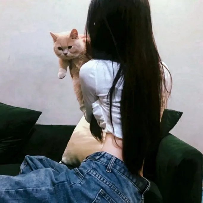 蝴蝶夫人的现代家庭